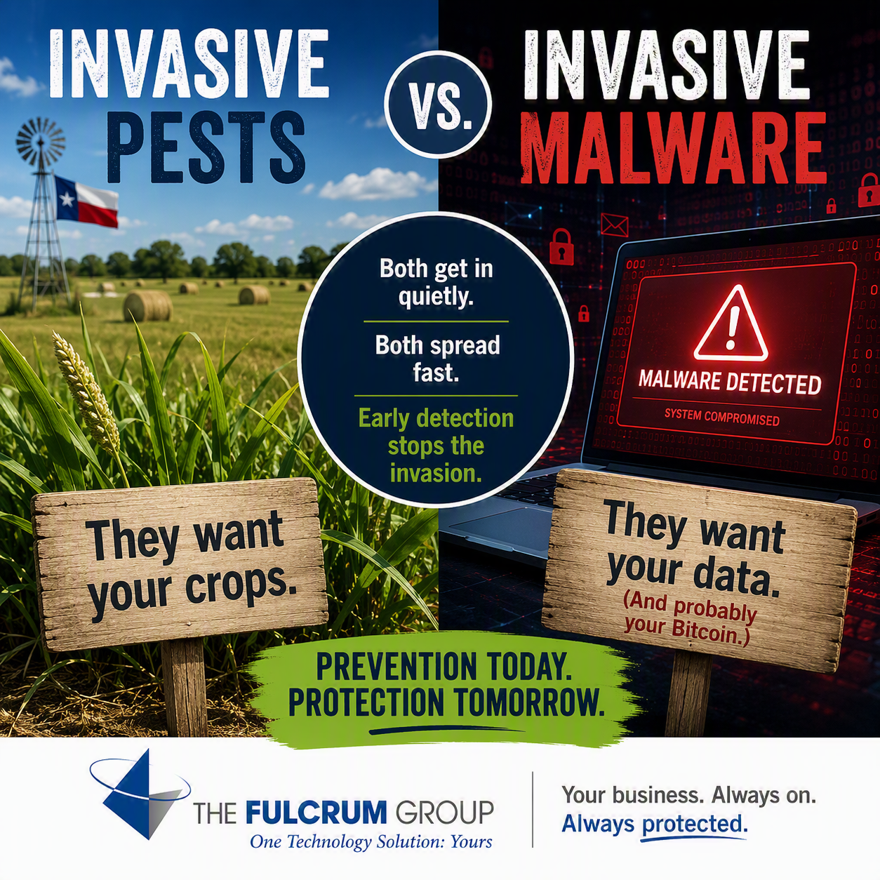 What a Pasture Pest Can Teach North Texas Leaders About Quiet Threats