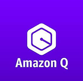 Amazon Q seamlessly integrating with DFW SMB's AWS data, internal documents, systems, and developer tools